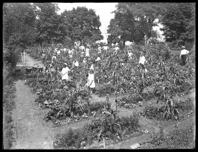 Enfants travaillant dans le jardin de l