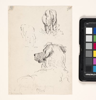 Chien (Recto), Chien et vache (Verso) - William Forsyth