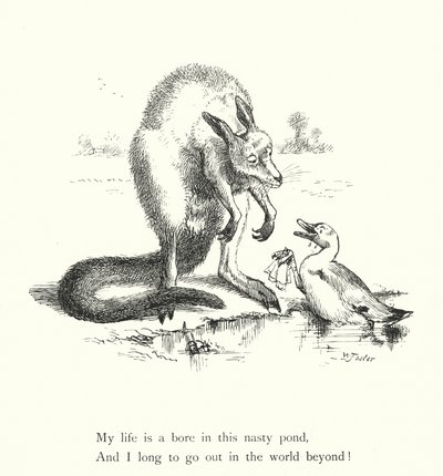 Le canard et le kangourou - William Foster