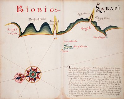 Biobio et Labapi - William Hack