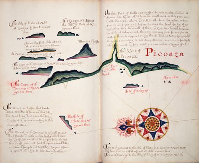 Picoaza - William Hack