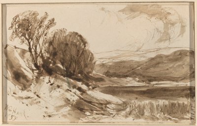 Paysage vallonné avec arbres - William Hart