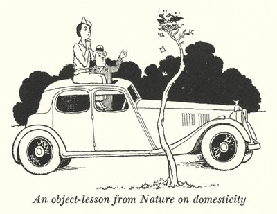 Une leçon de la nature sur la domesticité (lithographie) - William Heath Robinson
