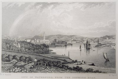 Vue de Waterford depuis The Dunmore Road, Irlande, gravé par W. Taylor - William Henry Bartlett