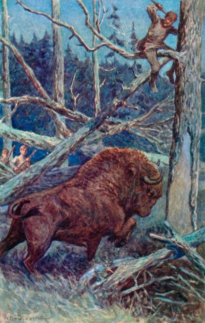 Le bison grattait le sol de rage - William Henry Charles Groome