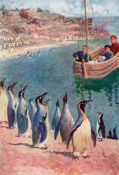 Nous regardions les oiseaux avec surprise et plaisir, eux nous regardant avec intérêt - William Henry Charles Groome