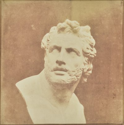 Buste de Patrocle - William Henry Fox Talbot