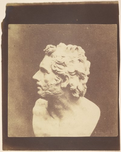 [Buste de Patrocle] - William Henry Fox Talbot