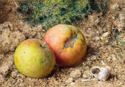 Nature morte avec deux pommes et une coquille d