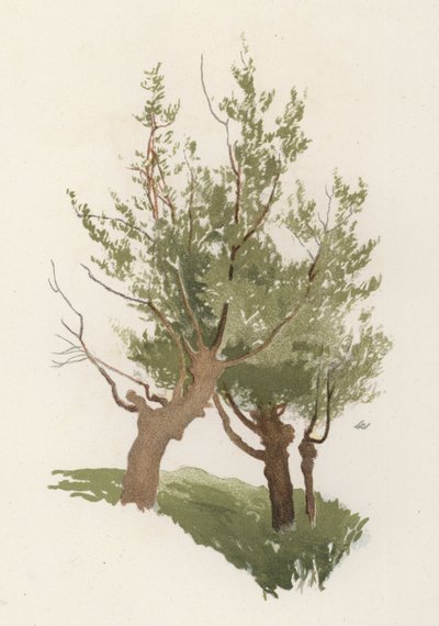Arbres : Le saule - William Henry James (after) Boot