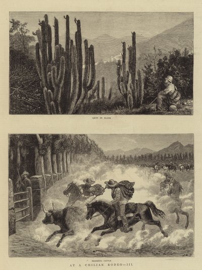 À un rodéo chilien, III - William Henry James Boot
