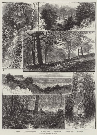 Croquis dans les bois de Highgate - William Henry James Boot