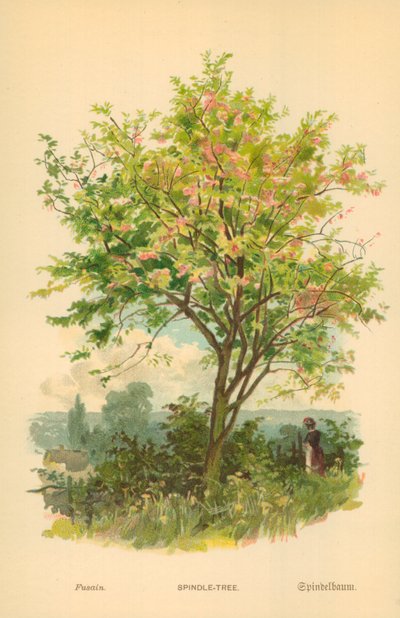 Fusain - William Henry James Boot