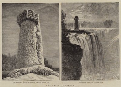 Les Chutes du Niagara - William Henry James Boot
