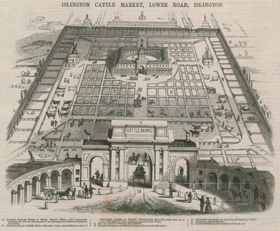 Marché aux bestiaux d