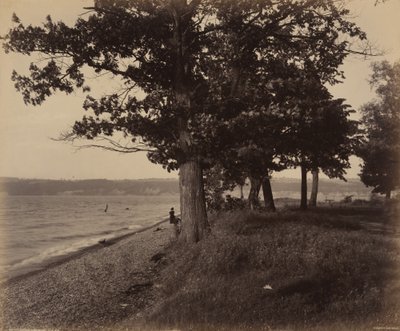 Lac Cayuga, Sheldrake, c. 1895 (photo) - William Herman Rau
