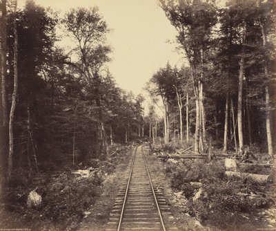 Branche du lac Ganoga, vers 1895 (photo) - William Herman Rau