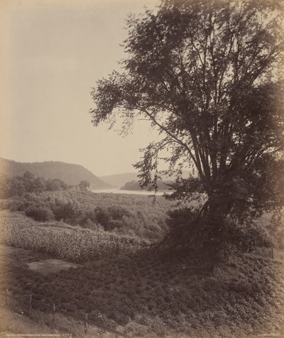 Picturesque Susquehanna, Near Laceyville,c. 1895 (photo) - William Herman Rau