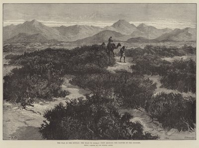 La Guerre au Soudan, la route vers Sinkat, vue montrant la nature du pays - William Heysham Overend