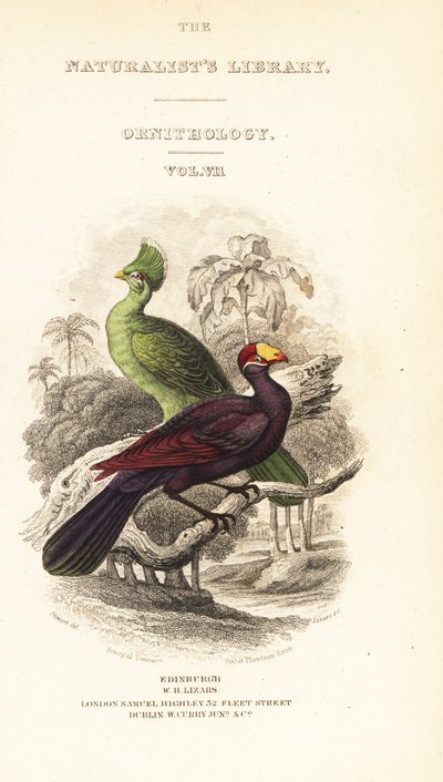 Page de titre avec vignette du touraco de Guinée, Tauraco persa buffoni, et touraco violet, Musophaga violacea - William Home Lizars