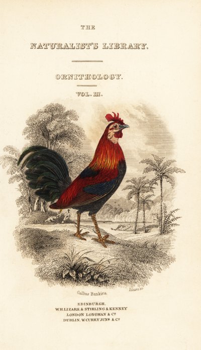 Page de titre avec vignette de coq bankiva (Javanais), Gallus gallus bankiva - William Home Lizars