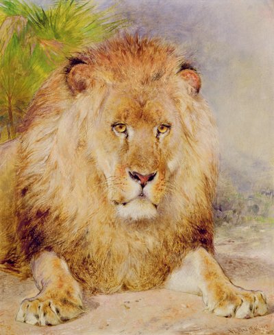 Lion - William Huggins
