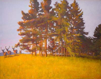 Vue depuis la cabine - William Ireland