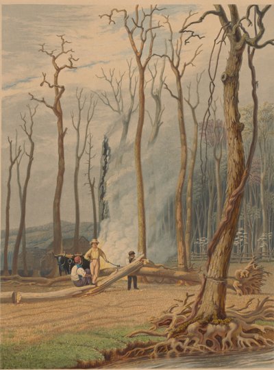 Printemps - Brûlage des Arbres Tombés dans une Clairière Ceinte - William James Bennett