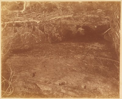 Sans titre, tiré du portfolio The Forest : Bois des Adirondacks - William James Stillman