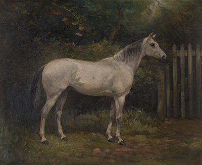 Pickles : un poney basuto, c.1904 - William Josiah Redworth