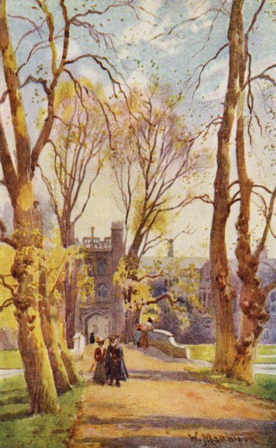 Pont et Avenue de Trinity College, avec Porte menant à la Nouvelle Cour - William Matthison