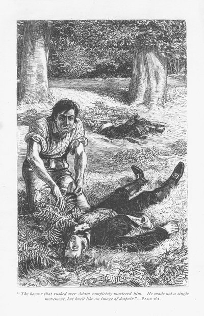 Adam Bede, ayant vaincu Arthur Donnithorne dans un combat, est horrifié de voir son rival inconscient. Adam Bede par George Eliot, publié pour la première fois en 1859. Illustration de William Small (1843-1929) d