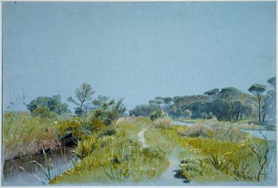 Castel Fusano - près de Rome - William Stanley Haseltine