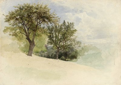 Paysage avec arbres sur une colline, 1880-85 - William Trost Richards