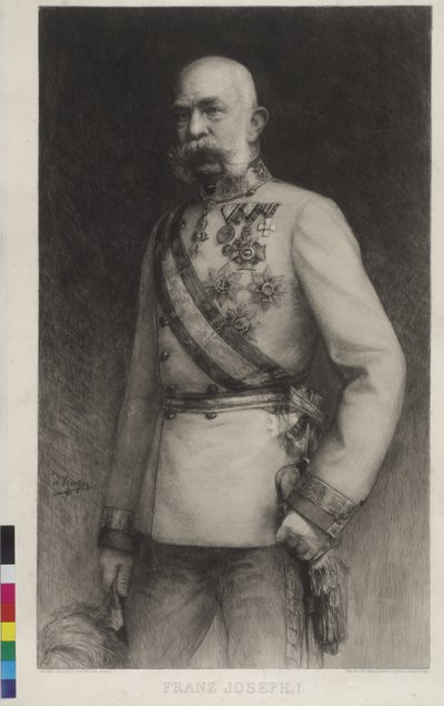 François-Joseph Ier en uniforme de gala de maréchal de camp - William Unger