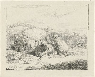 Mouton couché avec deux agneaux - William Young Ottley