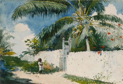 Un jardin à Nassau - Winslow Homer