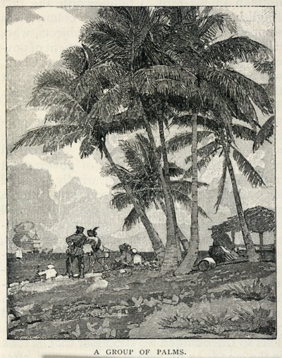 Un groupe de palmiers, extrait du Century Magazine, février 1887 - Winslow Homer