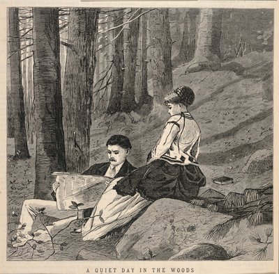 A Quiet Day in the Woods, tiré de Appletons