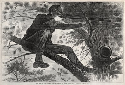  - Winslow Homer