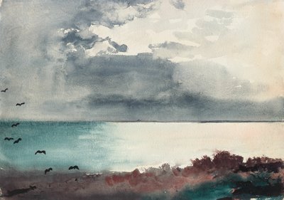 Rupture de tempête, côte du Maine - Winslow Homer