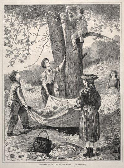 Chestnutting - Winslow Homer