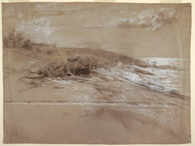 Dessin, Côte maritime avec pins sylvestres, Prout