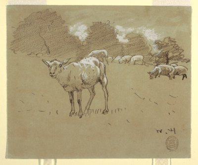 Dessin, moutons broutant dans un champ, vers 1875-78 - Winslow Homer