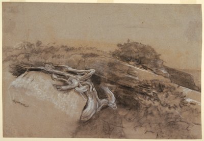 Dessin, étude des racines d