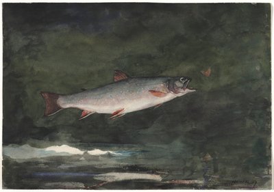 Truite bondissante, 1889 - Winslow Homer