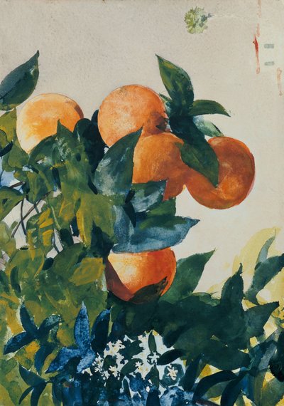 Oranges sur une branche, 1885 - Winslow Homer