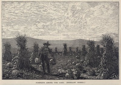 Pumpkins Among the Corn, tiré de Scribner