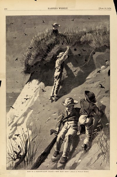 Raid sur une colonie d