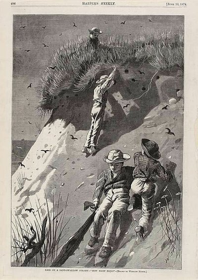 Raid sur une colonie d
